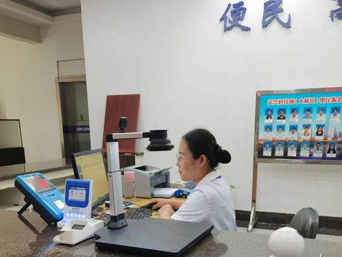 嘉興科技城大橋鎮便民服務中心公用事業服務窗口正式啟用，提供全域通辦與信息技術咨詢服務